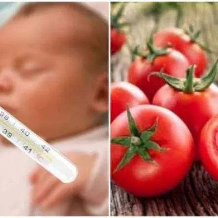 إنفلونزا الطماطم فيروس جديد يضرب الهند - المصدر من Zeenews 