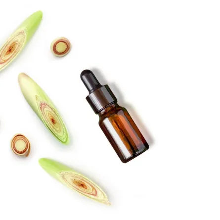 رائحة زيت عشبة الليمون الأساسي تنفّر الحشرات