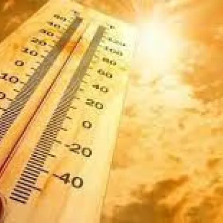 مواجهة الحرارة المرتفعة