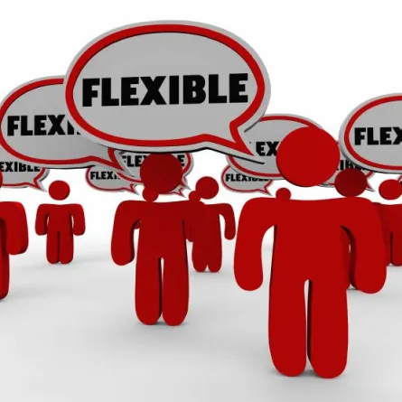 ما هي المرونة في العمل؟