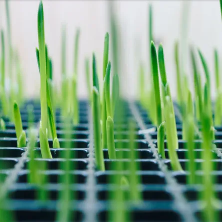 إطلاق برنامج أبوظبي للجينوم الزراعي - الصورة من مكتب أبوظبي الإعلامي