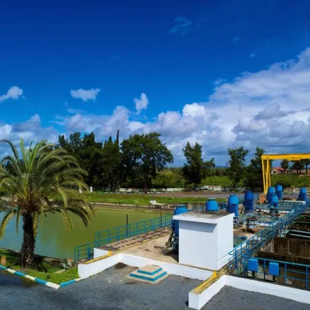 حماية النظم الإيكولوجية البرّية. الصورة من "وام"