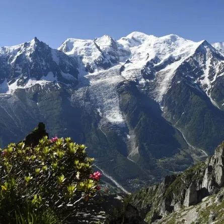 صورة المساحات الخضراء في جبال الألب