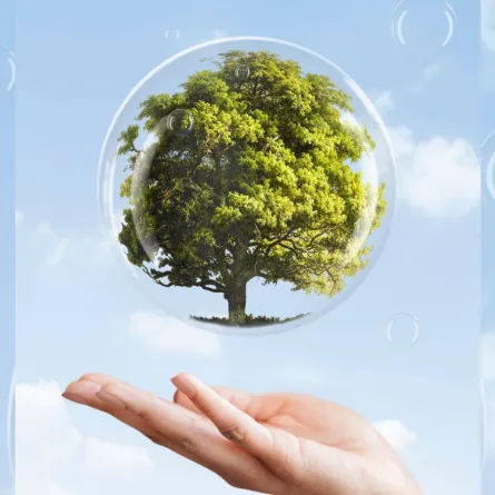 اليوم العالمي للبيئة 