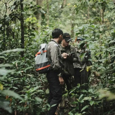 شراكات استراتيجية لتعزيز الاستدامة وحماية البيئة. الصورة من "وام"