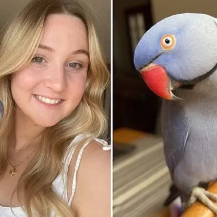 صورة بريدجيت تشانت