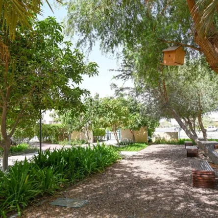 بيوت للطيور علقت على الأشجار. الصورة من "وام"