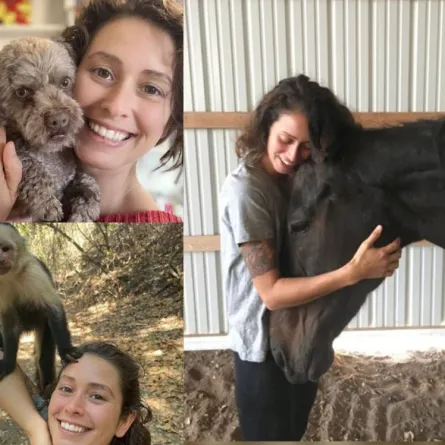 معالجة روحانية للحيوانات