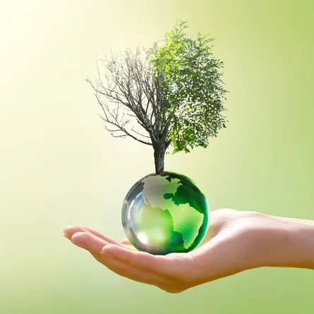 اليوم العالمي لمكافحة التصحر والجفاف   