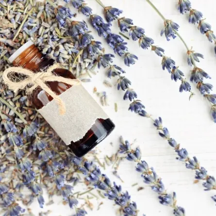 زيت اللافندر الطبيعي