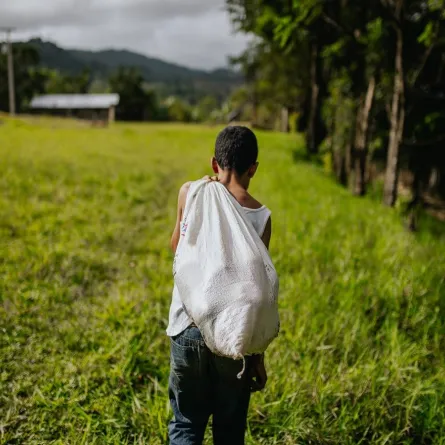 صورة لطفل صغير يعمل في الحقول