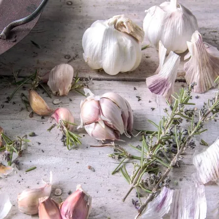 صورة لحفنة من الثوم