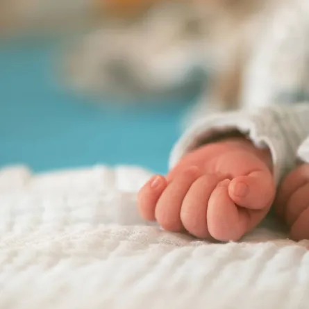 صورة ليدي مولود