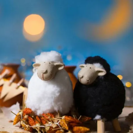 كل ما تريد معرفته عن الأضحية