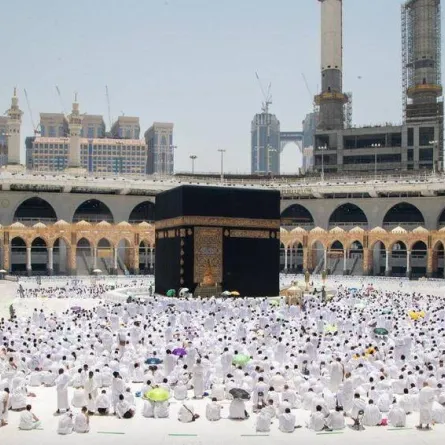 استعدادا لموسم الحج.. إطلاق تطبيق المطوف لتسهيل وسرعة طلب خدمة التفويج 