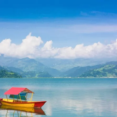 في "بوخارا"، تتعدّد النشاطات