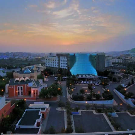 فندق قصر أبها 