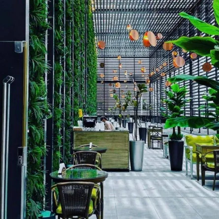 رورال كافيه