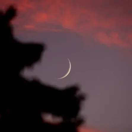 الإمارات للفلك تعلن موعد عيد الأضحى - الصورة من وام