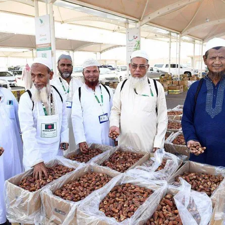 حصاد رطب المدينة المنورة يتزامن مع موسم الحج لأول مرة منذ 20 عاماً - مصدر الصورة واس