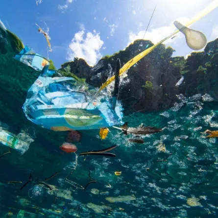 روبوتات لجمع دقائق البلاستيك في المحيطات. الصورة من إندبندنت عربية