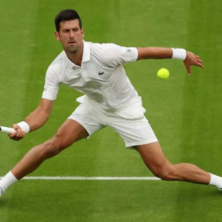 صورة لاعب التنس نوفاك ديوكوفيتش