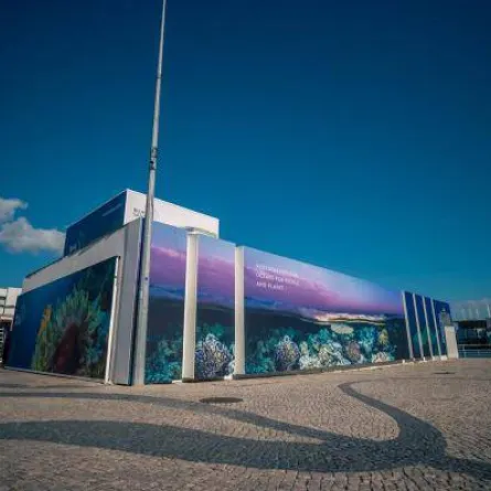 جناح السعودية الزرقاء