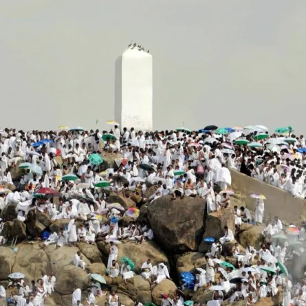 شؤون الحرمين تستهدف 150 مليون مستفيد من مشروع ترجمة خطبة عرفة.. بـ 10 لغات