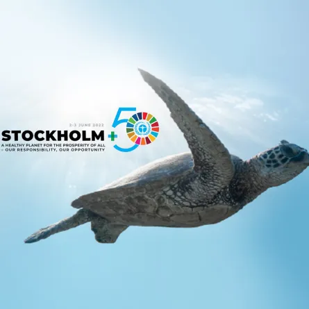 مؤتمر ستوكهولم 50