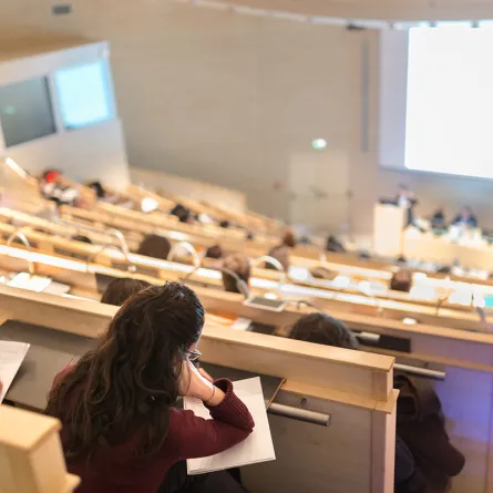 التخصصات الجامعية  