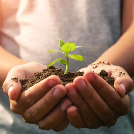 يوم المؤسسات المتناهية الصغر والصغيرة والمتوسطة *