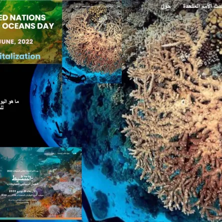لتنشيط العمل الجماعي للمحيطات- الصورة من موقع  (اunworldoceansday)