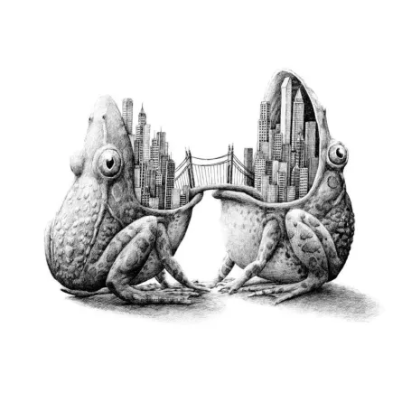 رسومات  ريدمر هوكسترا