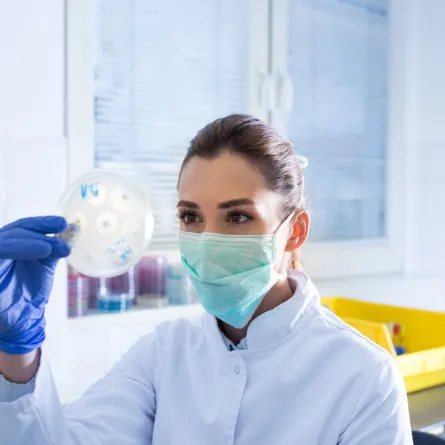 اكتشاف مذهل لأكبر بكتيريا في العالم تُرى بالعين المجردة