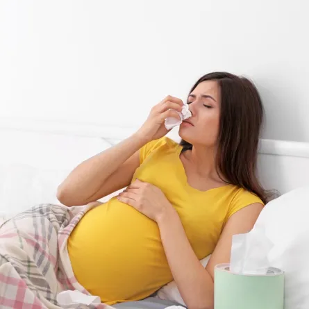 حساسية الأنف للحامل