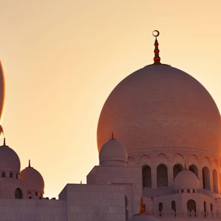 شروط المضحي 