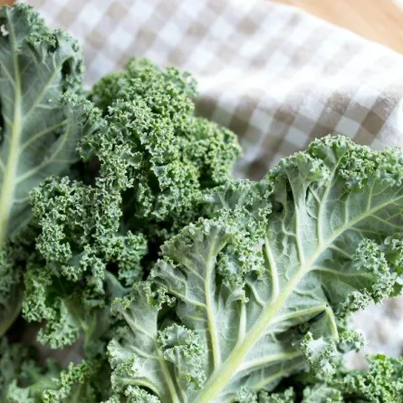 مصادر فيتامين ك والأدوار التي يلعبها في الجسم