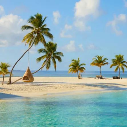 أنشطة ترفيهية ممتعة في جزر المالديف