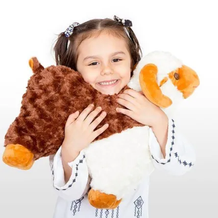 خروف عيد الأضحى