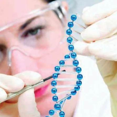 اكتشاف حاسم في مكافحة سرطان البروستاتا