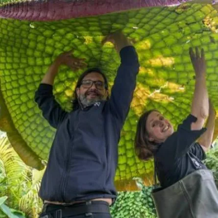 أكبر زنبقة مائية في العالم