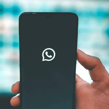 صورة من تطبيق واتساب