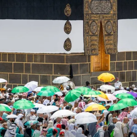 نجاح الخطة التشغيلية لموسم حج 2022 - الصورة من موقع الرئاسة