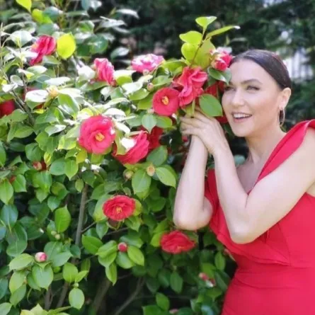 إطلالات سيفال سام