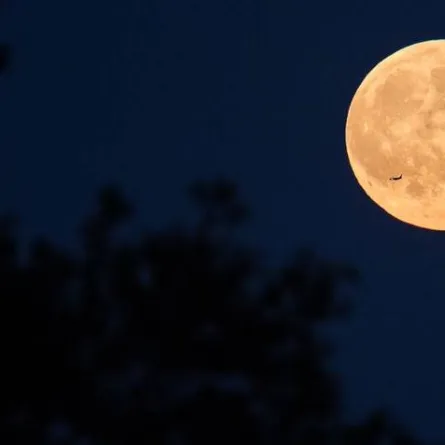 القمر العملاق. الصورة من طقس العرب