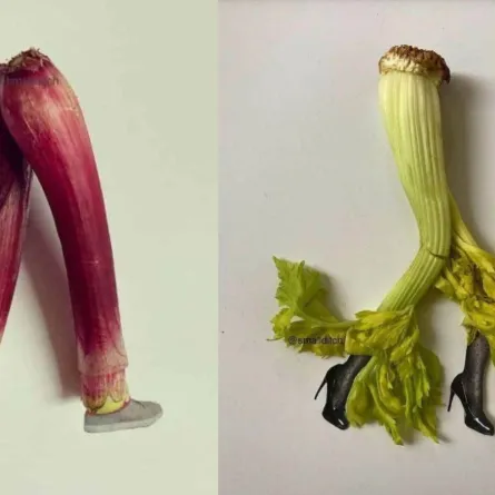 كولاج مارثا هافرشام 