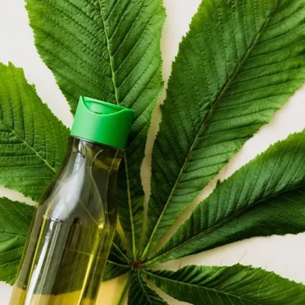 زيت المر وفوائده المذهلة