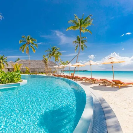 تعرفوا إلى الفرق بين الفندق والمنتجع