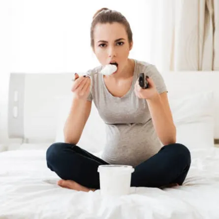 صورة لحامل تلتهم قطع الثلج