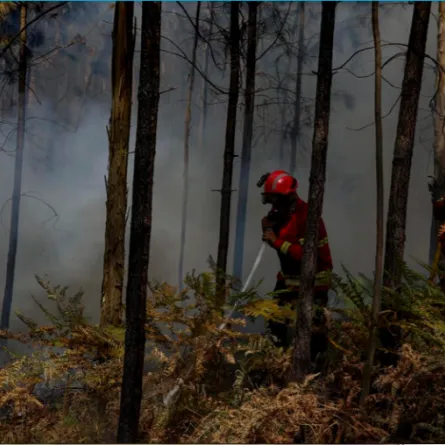 رجال الإطفاء يحاول إطفاء حرائق الغابات. الصورة من وكالة الأنباء الفرنسية.